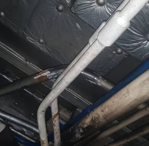 WhatsApp Image 2022-08-16 at 10.56.36 AM